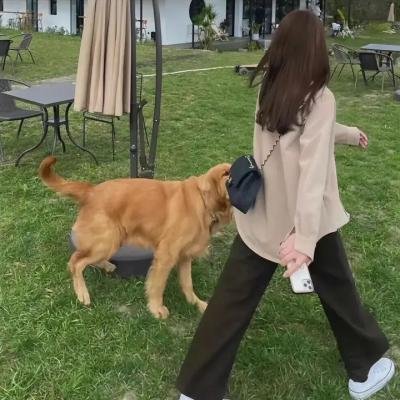 养鬼吃人